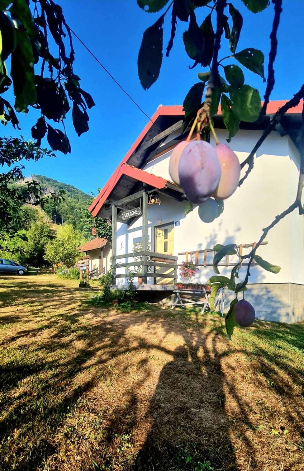 פלאב Kosta'S Romantic House מראה חיצוני תמונה
